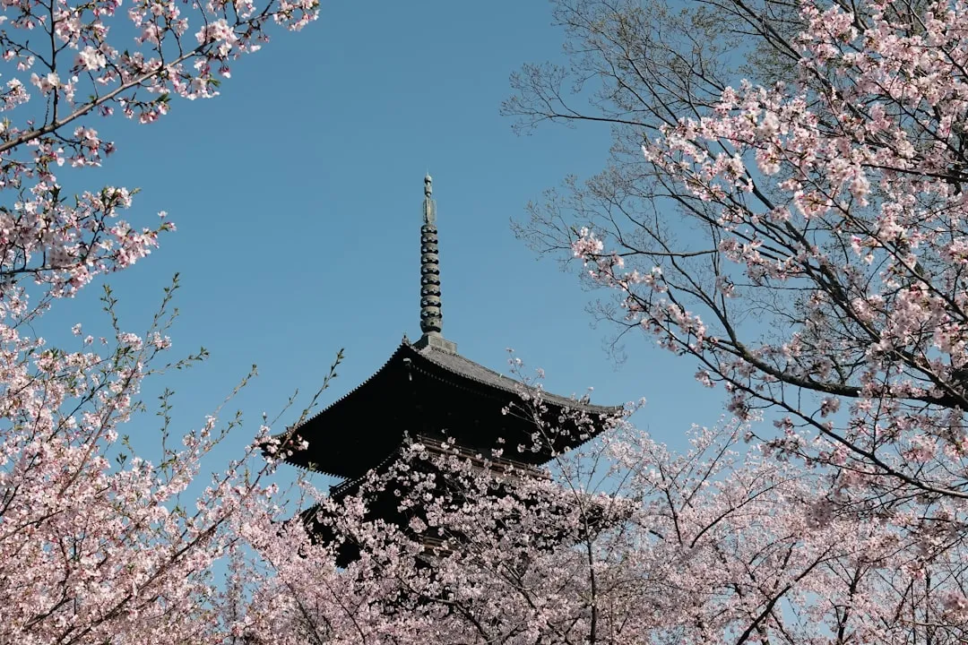 Japonia