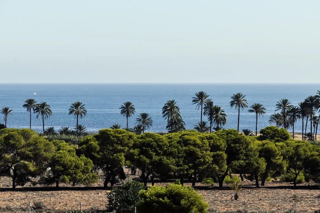 Alicante