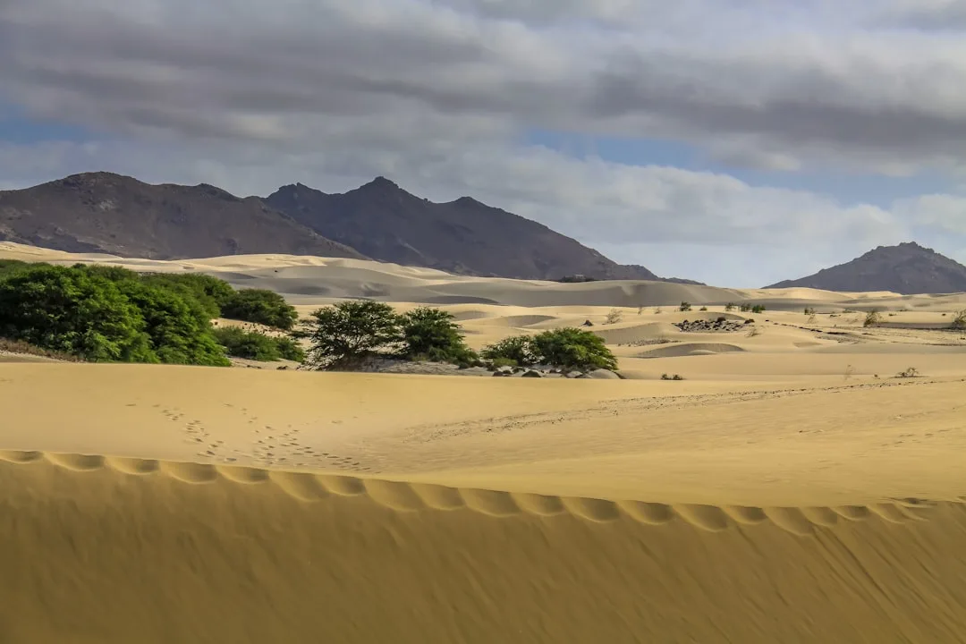 Boa Vista
