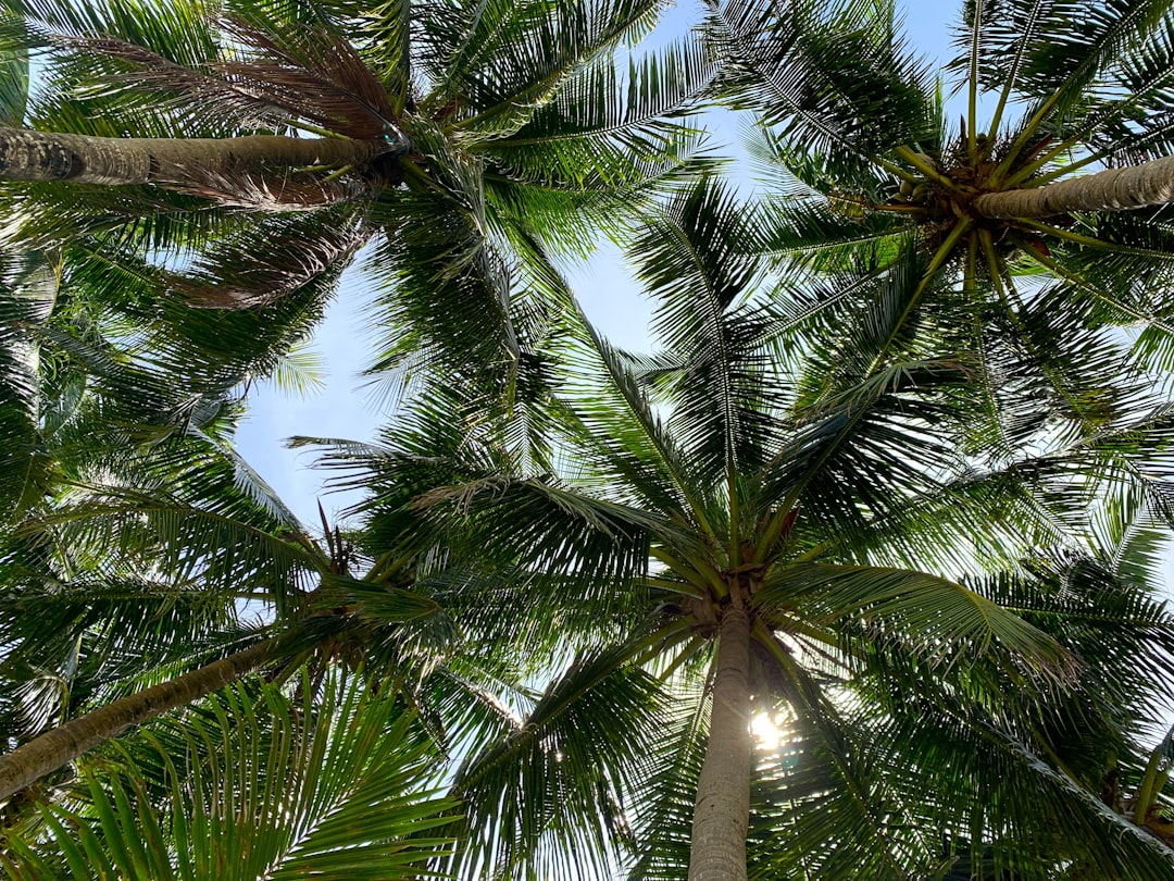 Hotele na Boracay 2026: Gdzie nocować blisko White Beach?