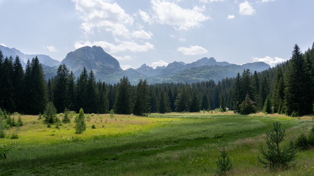 Trekking w Czarnogórze: Durmitor, Lovćen i najlepsze szlaki