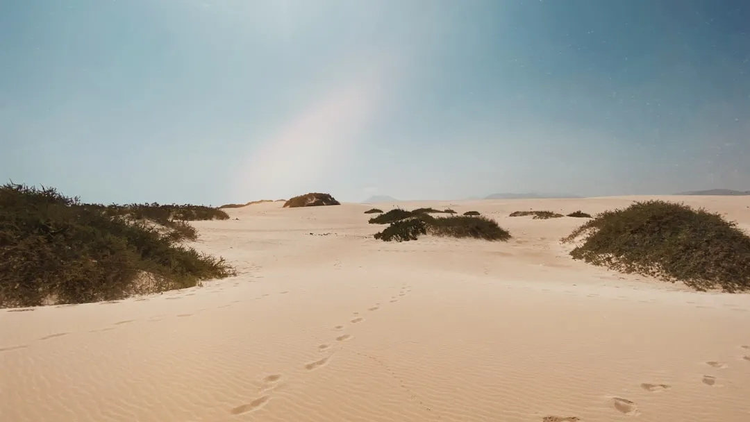 Fuerteventura czy Lanzarote — plaże kontra wulkany