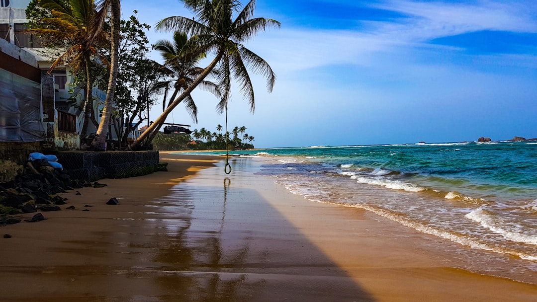 Hikkaduwa – przewodnik po snorkelingu, żółwiach morskich i surfingu 2026