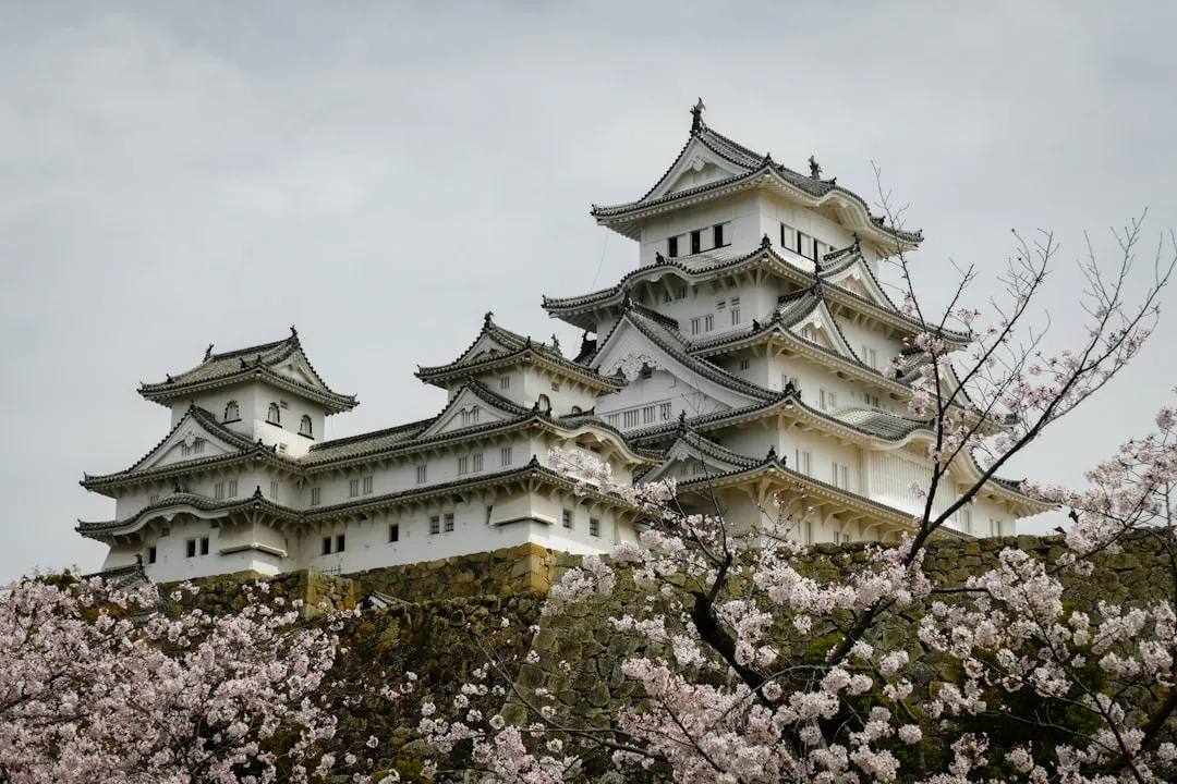 Wycieczka jednodniowa do Himeji 2026 — Najpiękniejszy zamek Japonii