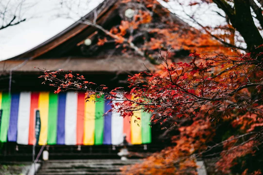 Japonia na jesienne ferie 2026 — Kolory jesieni, jedzenie i kultura