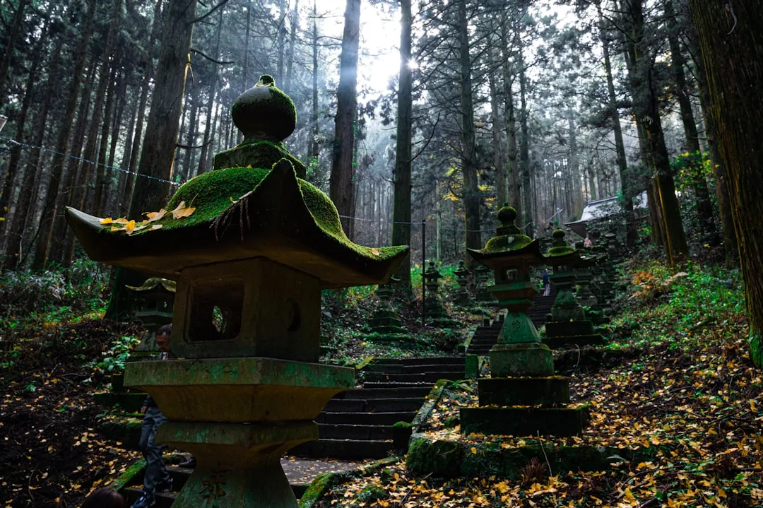 Noclegi w świątyni w Japonii 2026 — Shukubo na górze Koya i nie tylko