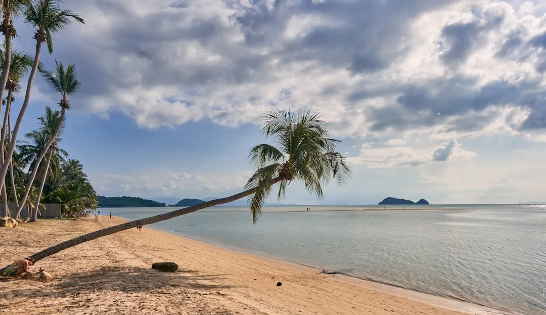 Koh Lanta czy Koh Samui — która wyspa pasuje do Ciebie najlepiej?