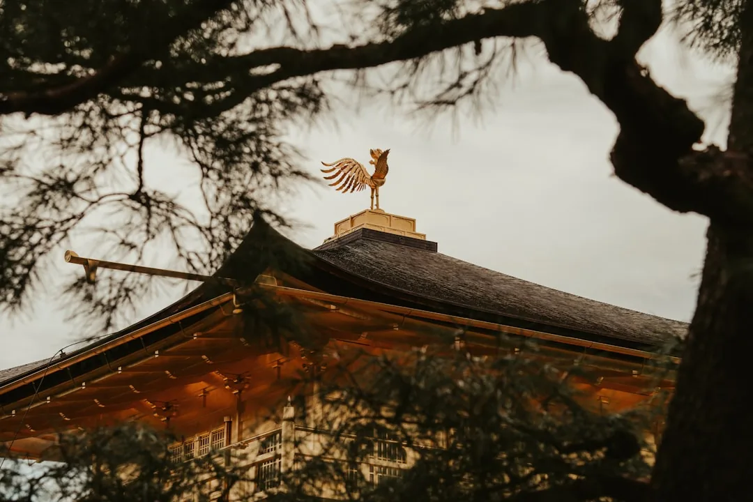 Kyoto czy Nara 2026 — Świątynie, ogrody i jelenie