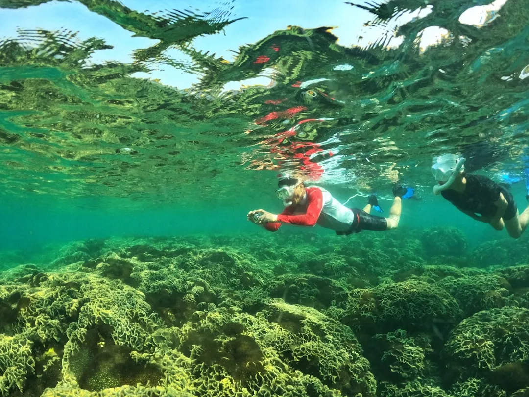 Nurkowanie i snorkeling na Phu Quoc — Najlepsze miejsca 2026