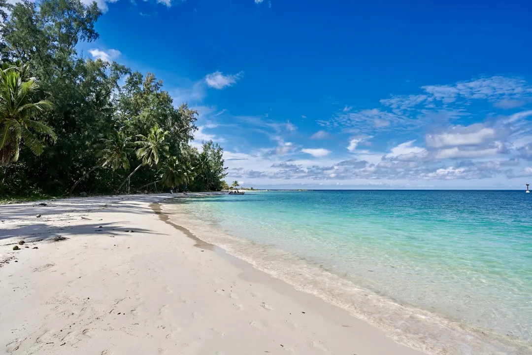 Phuket czy Koh Samui — która wyspa jest dla Ciebie?