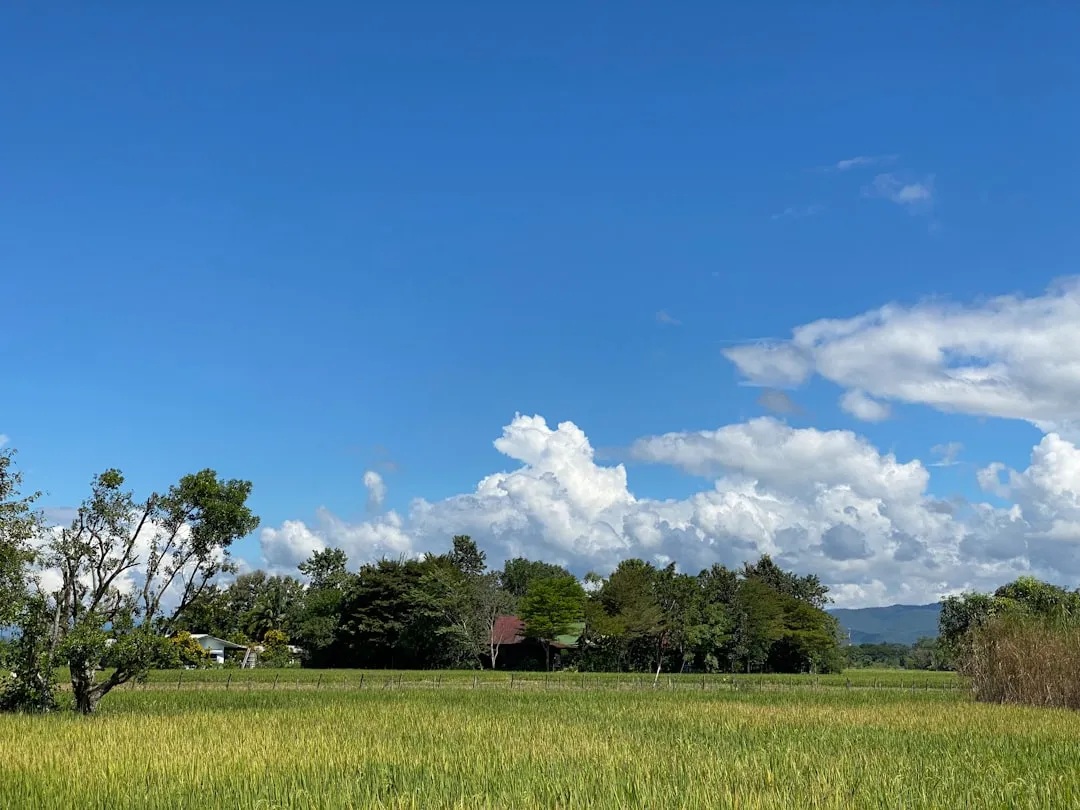 Północna Tajlandia plan podróży 2026 — Chiang Mai, Chiang Rai i Pai