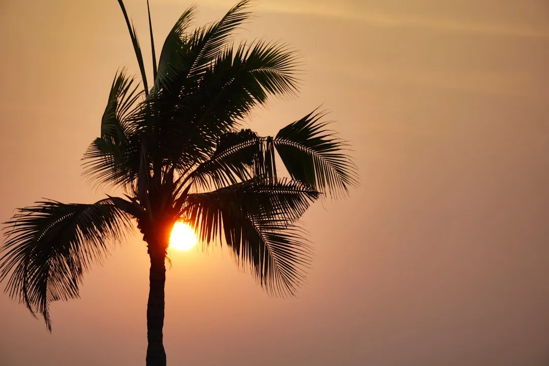 Przewodnik po Koh Lanta 2026 – ulubiona wyspa podróżników