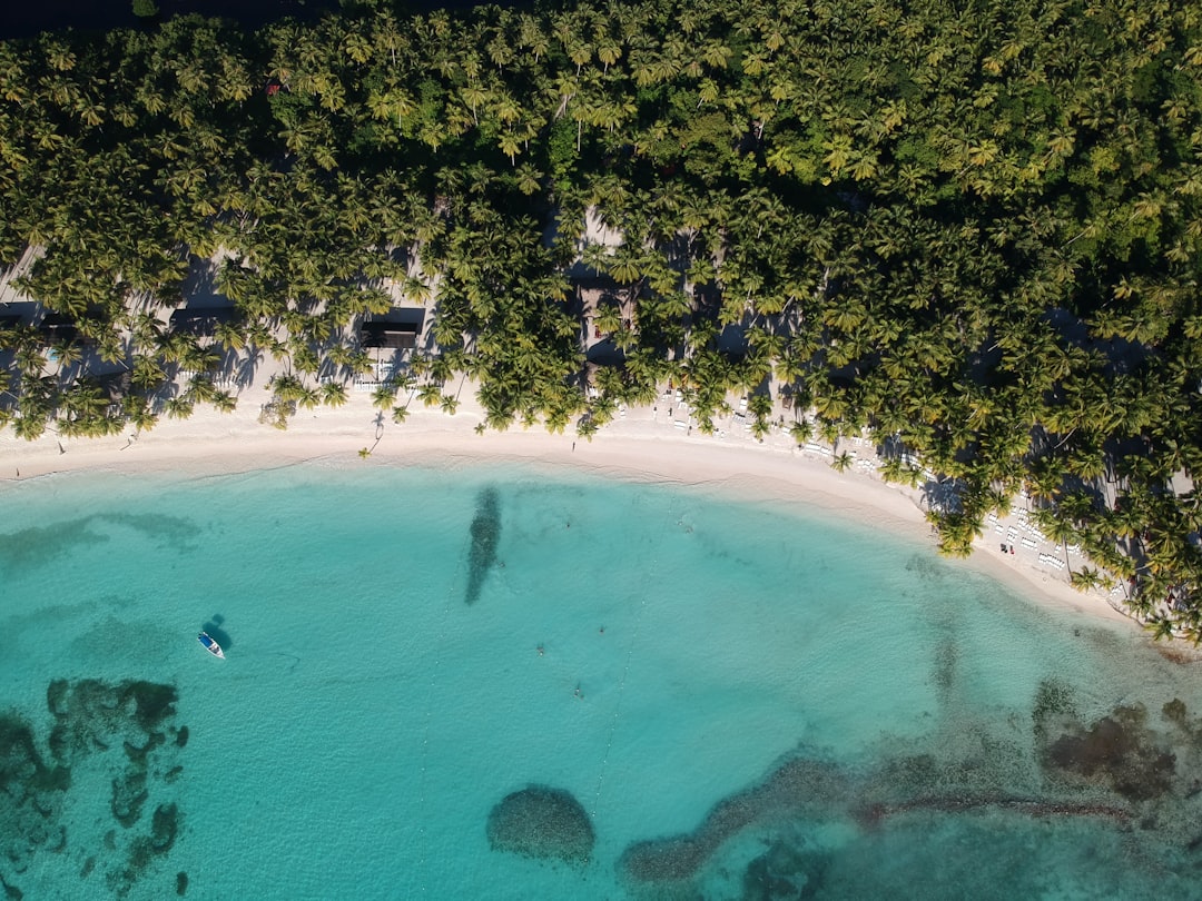 Punta Cana 2026 — przewodnik po plażach, hotelach i wycieczkach