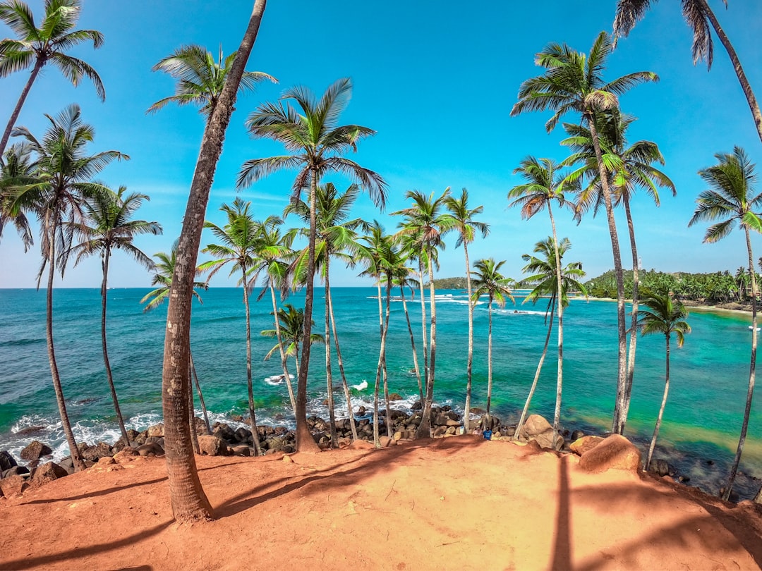 Najlepsze plaże Sri Lanki 2026 – ranking 12 miejsc na kąpiel, surfing i słońce