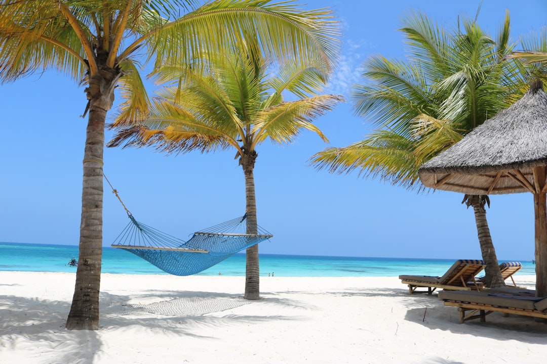 Tanie wakacje na Zanzibarze 2026: jak tanio podróżować na Wyspę Przypraw