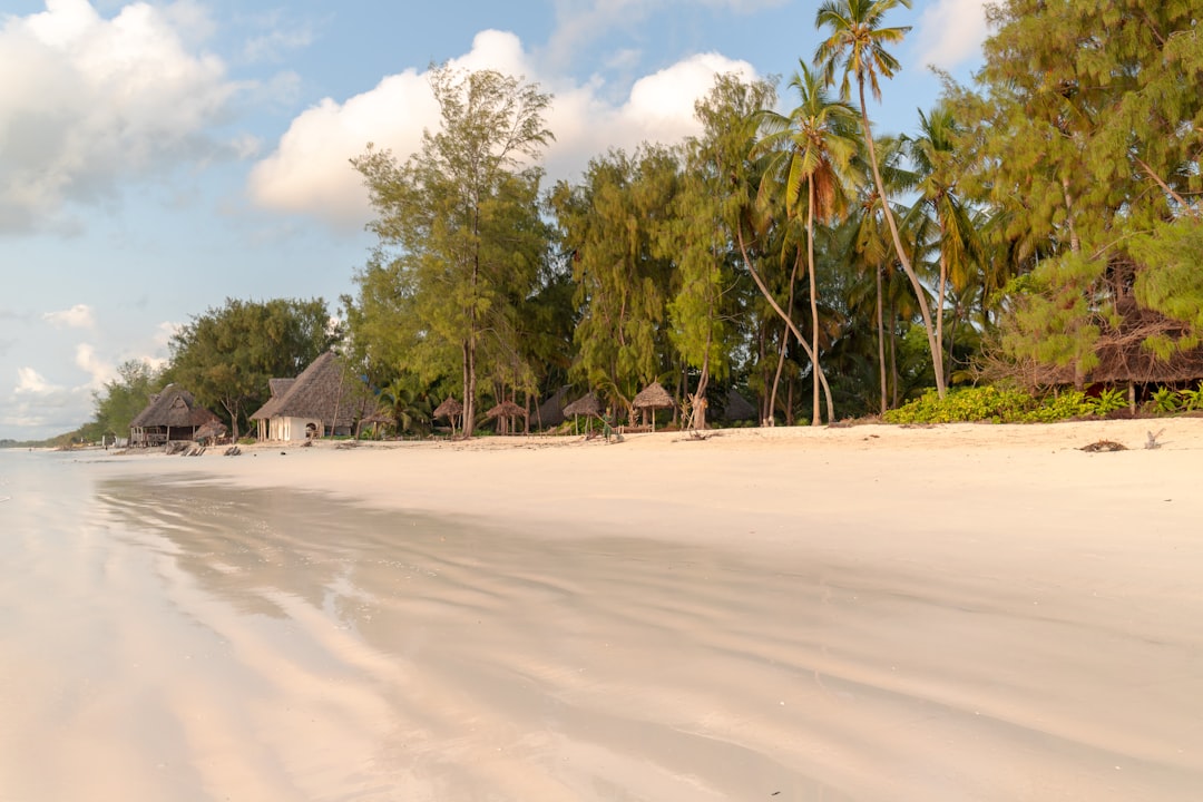 Zdrowie, szczepienia i malaria na Zanzibarze 2026